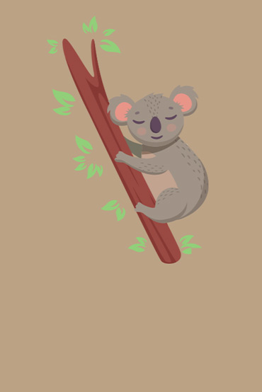 Kevin the Kind Koala